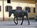Zodiacon 2012 286.jpg